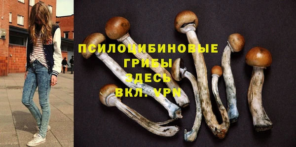 МДПВ Армянск