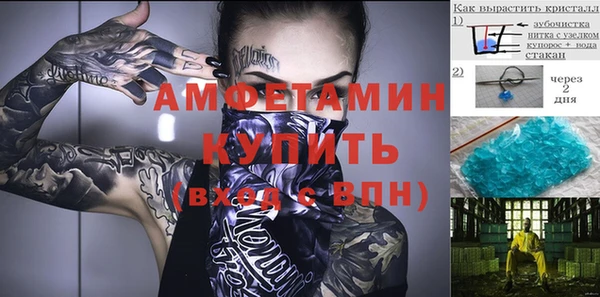 гашик Краснослободск