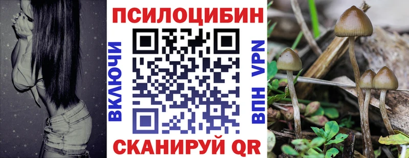 Псилоцибиновые грибы мицелий  Купить закладки  Сясьстрой 